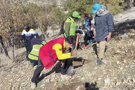 ‌‌فعالان کاغذی محیط‌ زیست