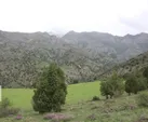 رفع تصرف از ۲۳ هزار مترمربع مرتع در خلخال