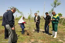 از کاشت نهال تا اجرای مجلس نقالی و پرفورمنس ایران در گرگان