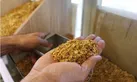 کشف ۲ تن خوراک ماهی قاچاق در دلفان