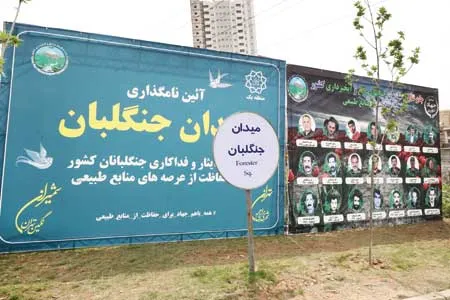 شورای نام‌گذاری!