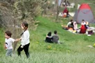 تشویق‌ درمانی جمعیت
