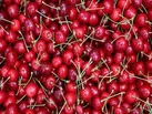 قیمت عجیب و غریب میوه‌های نوبرانه/ گیلاس ۱۴۸ هزار تومان!