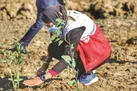 ایران سبزتر با پویش « ایران سبز»