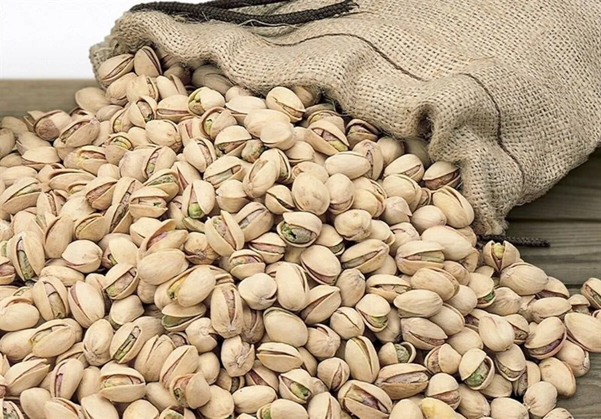 توقیف محموله 20 تنی پسته قاچاق