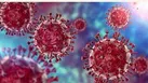 بسترهای کرونا در یزد به 396 نفررسید