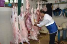 نظارت ۹۲ گروه دامپزشکی خوزستان در ایام تاسوعا و عاشورا حسینی