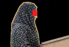 در دفاع از دخترم، شوهرم را کشتم 