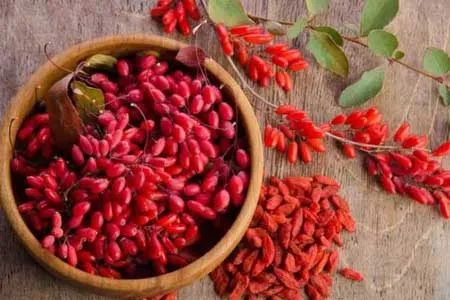 زرشک، دانه‌های سرخ سلامتی