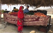 احداث ۳۴ روستابازار جدید در سیستان‌وبلوچستان