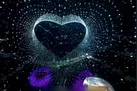 ببینید | آتش ‌بازی با ریزپرنده