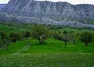 حفاظت از عرصه‌های منابع طبیعی وظیفه‌ای همگانی است