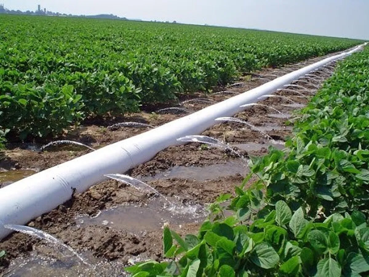 آب‌خواری در مزارع