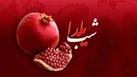 ببینید | یلدای ۱۴۰۴؛ هم‌افزایی آنتن و فضای مجازی