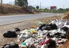 مغز در تسخير ميکروپلاستيک‌ها