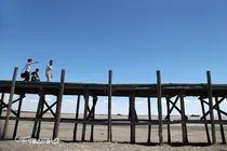 گزارش تصویری | وضعیت مناسب آبی گردشگران را به ساحل دریاچه ارومیه کشاند