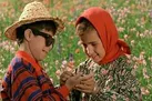 «رنگ خدا» و «عروس آتش» در سینماها