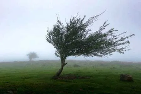 افزایش سرعت باد در جنوب کشور / ارتفاع موج تا ۳ متر می‌رسد