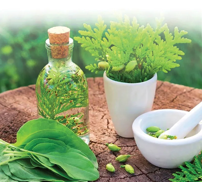 سوءاستفاده شیادها از طب‌سنتی