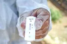 انجام ۳۰ هزار تست pcr در مبادی مرزی کشور