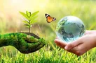 توصیه های زیست‌ محیطی برای روز طبیعت