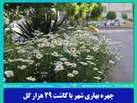 چهره بهاری شهر با کاشت ۲۹ هزار گل