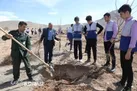 کاشت بیش از300 هزار نهال در بام ایران با همت جهادگران