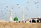 بارش نور و سرور