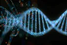درمان سرطان با نانوربات از جنس DNA روسی