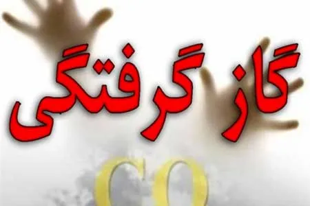 تاثیر دستگاه‌های دتکتور منوکسیدکربن در کاهش آمار گازگرفتگی