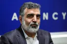 ببینید |  کمالوندی: پاسخ ایران به پیشنهاد مکتوب آمریکا در حال نهایی شدن است و ظرف روزهای آینده تحویل داده می‌شود