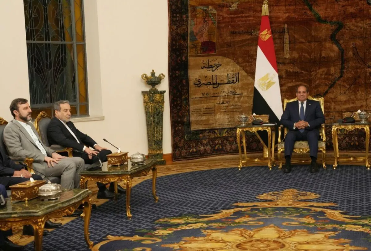 عراقچی با رئیس‌جمهور مصر دیدار کرد