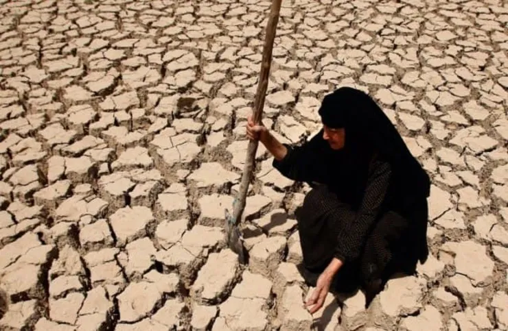 کشاورزان و آزمون و خطای کارشناسان