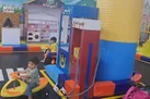 تجهیزات شهربازی استان، زیرذره بین استاندارد