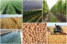 ما و ادامه جنگ؛ ضرورت خودکفایی غذا و کشاورزی