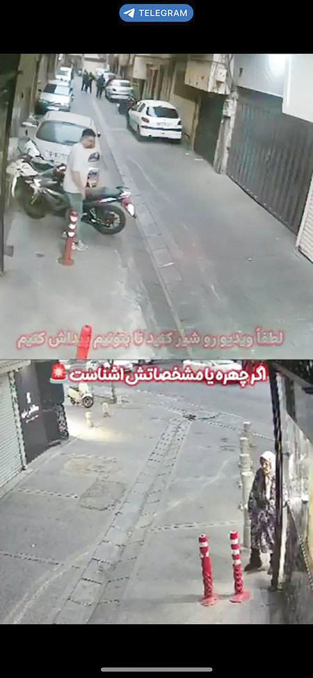 گردنبندقاپ جنجالی تهران دستگیر شد