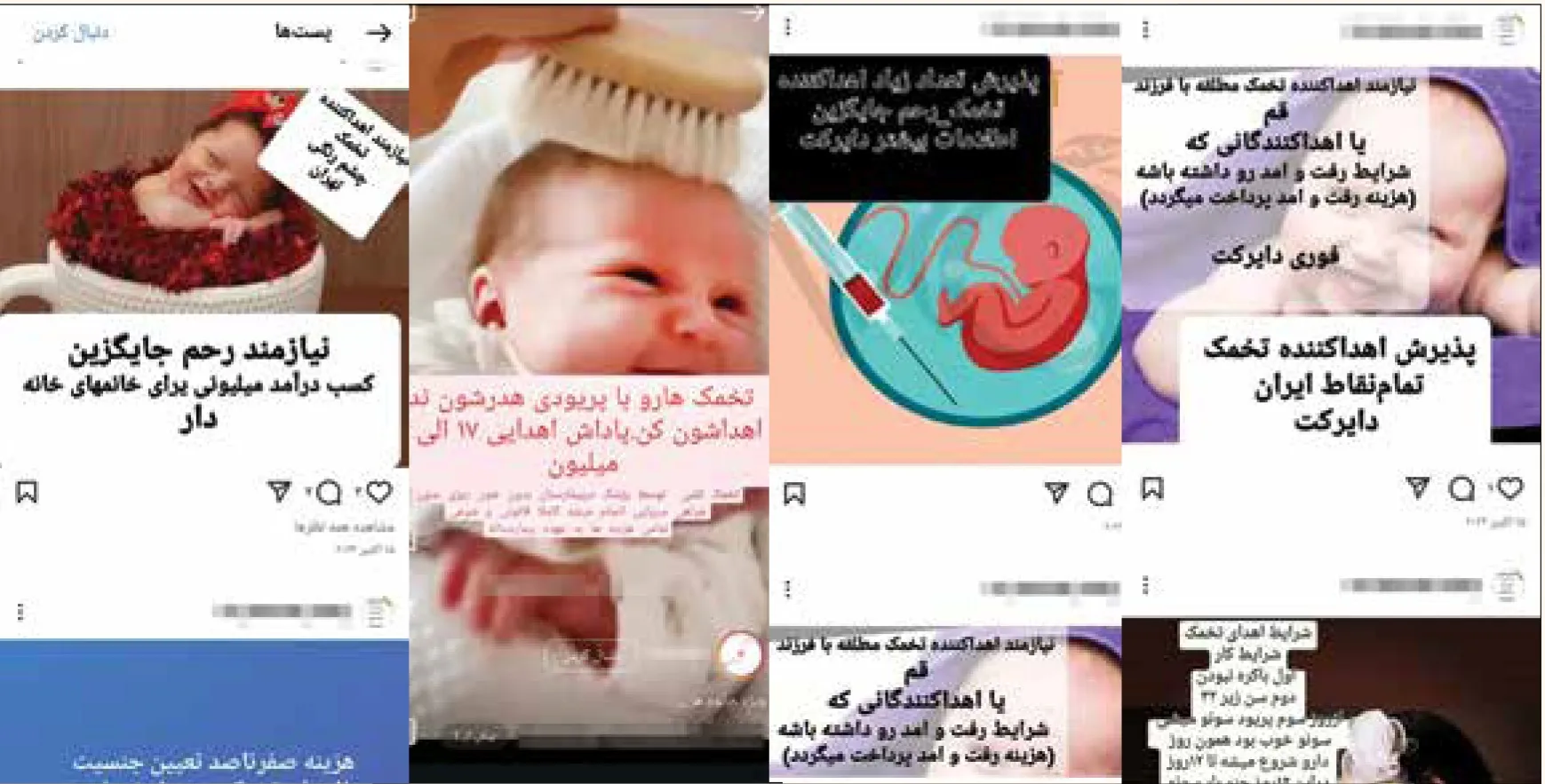 ردپای دلالان در فروش تخمک و رحم اجاره‌ای