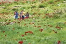 حال خوب به سبک ۱۴۰۰