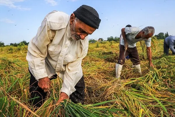 ببینید | پوشش ۴۵ درصدی جامعه هدف صندوق بیمه اجتماعی در البرز