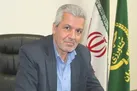 جوجه‌ریزی ۱۴ میلیون قطعه‌ای در مرغداری‌های همدان