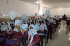 برگزاری جشنواره 
