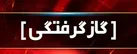 وقوع ۳۳ مورد مسمومیت گازگرفتگی در قزوین