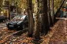 کاهش دمای ۸ استان به زیر صفر / از محصولات کشاورزی محافظت کنید