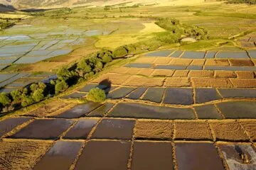 شناسایی ۱۹ مورد تغییر کاربری غیرمجاز در اراضی کشاورزی خوزستان