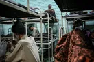 گرمخانه ها می توانند محل انتشار کرونا شوند/ مشکل ازدحام جمعیت