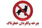 چرخه ولگردان خطرناک