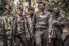 مملکت عشق سلیمانی‌‌ ها