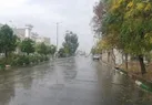 سیل در راه است