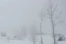 بارش برف و باران و کاهش دما تا ۱۸ درجه / سفر نروید