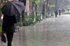 رگبار و رعد و برق در ۱۹ استان | وزش باد شدید در ۱۶ استان